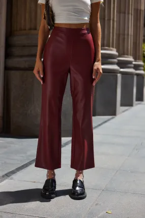 Hayden Burgundy Faux Leather Pants Universal Fit System