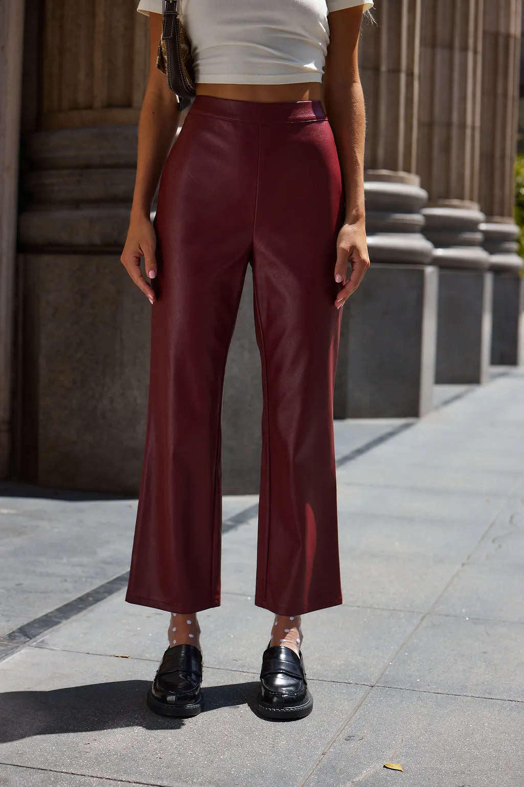 Hayden Burgundy Faux Leather Pants Universal Fit System