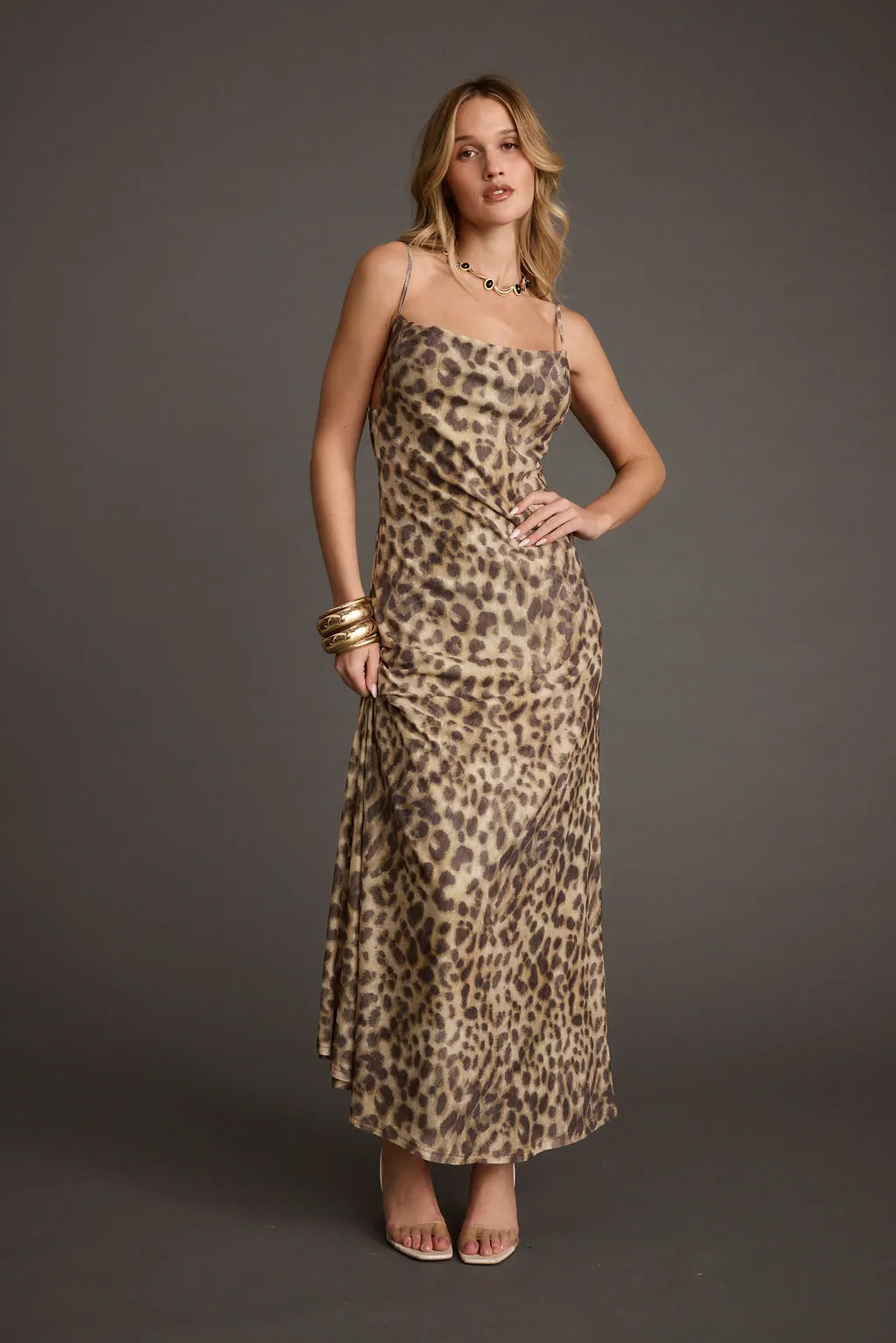 Wild Thing Leopard Print Mesh Maxi Dress Skin-friendly Night Ready