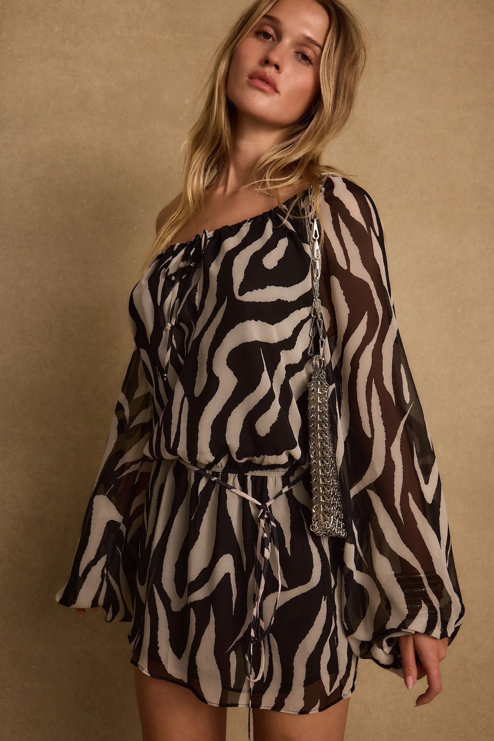 Gina Zebra Mini Dress Casual Style Wear