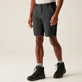 Summer essentials Regatta Mens Eldes Walking Shorts